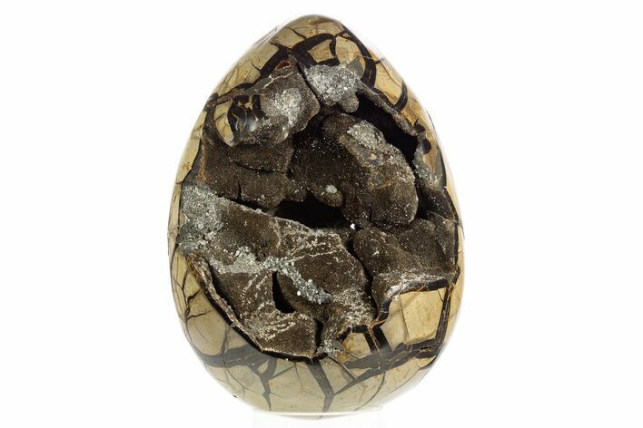Huge, Septarian Dragon Egg Geode ( lbs!) - Black Crystals #329479